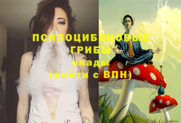 ПСИЛОЦИБИНОВЫЕ ГРИБЫ Аркадак