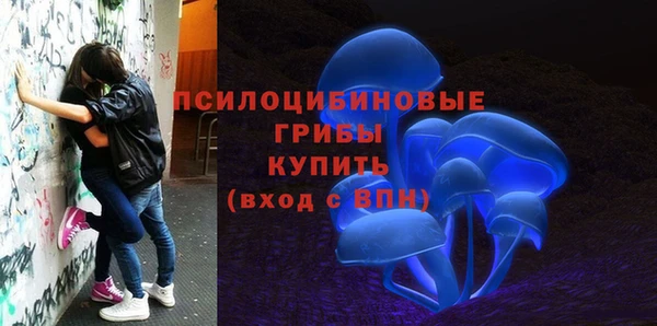 ПСИЛОЦИБИНОВЫЕ ГРИБЫ Аркадак